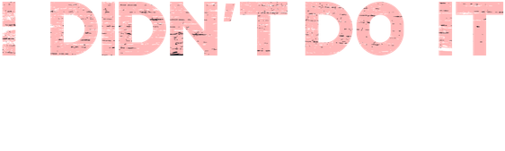 I Didn't Do It