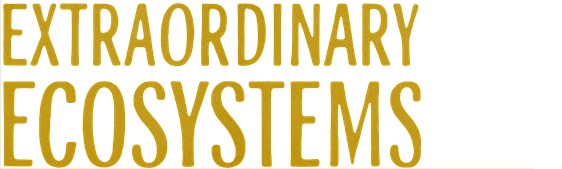 Extraordinary Ecosystems