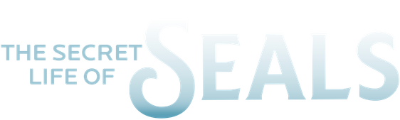 The Secret Life of Seals