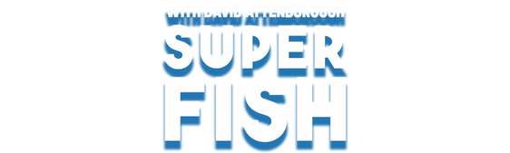 Billfish: Superfish with David Attenborough