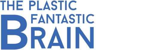 The Plastic Fantastic Brain