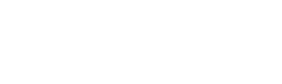 The Pilgrims: Journey Into The Unknown