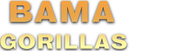 Bama and the Lost Gorillas
