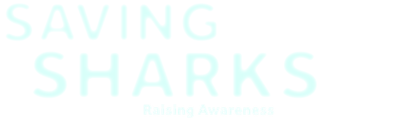 Saving Sharks: Raising Awareness