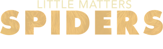 Little Matters: Spiders