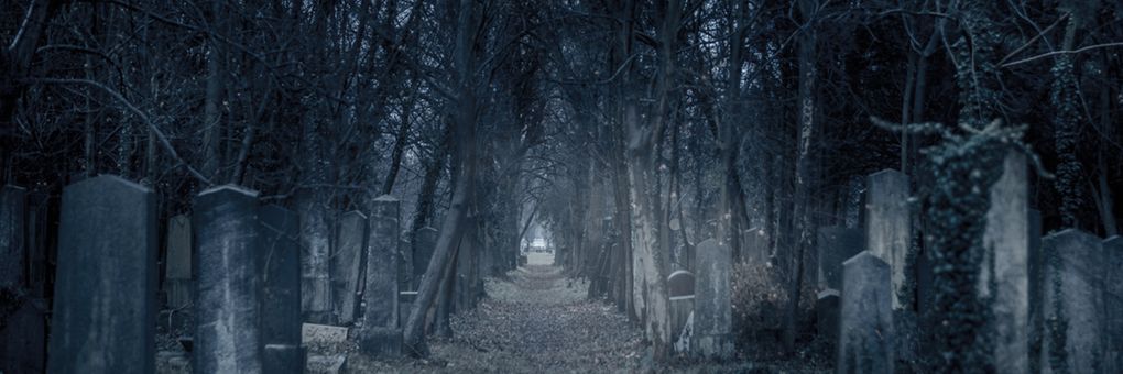 4 Spooky Documentary Playlists to Stream on MagellanTV this Halloween