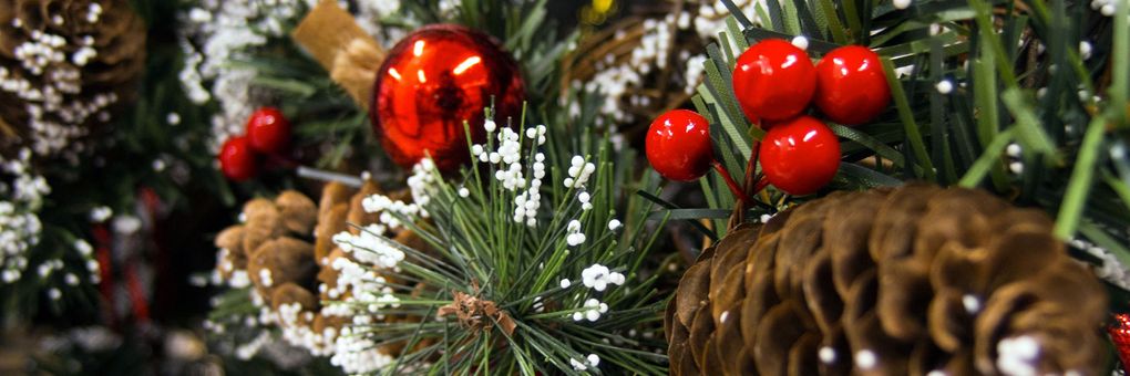 Enjoy the Holidays with MagellanTV&#33; Grumplestein&#8217;s Picks for Scrooges