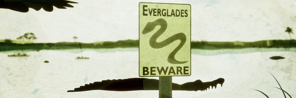Snakes in the Everglades&#33; Pythons Threaten Florida&#39;s Ecosystem