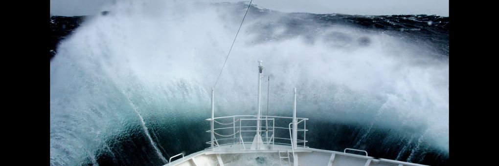 Rogue Waves&#58; Sudden&#44; Awesome&#44; and Perilous