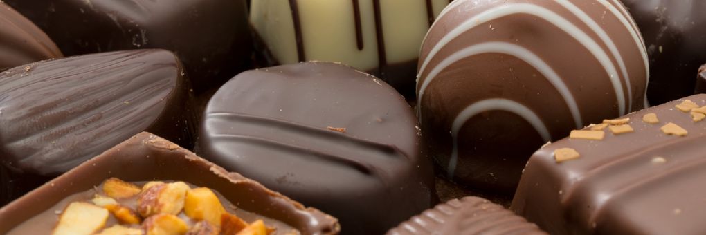 The Rich Story of Chocolate from Tree to Taste Buds