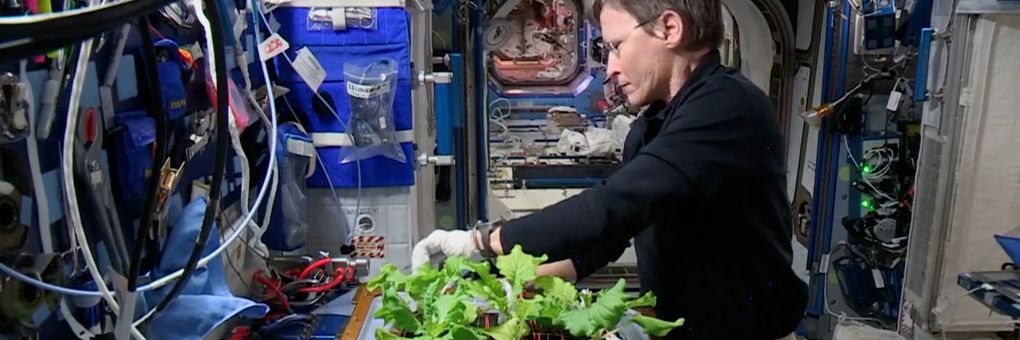 Beyond Tang&#58; The Evolution of Space Food