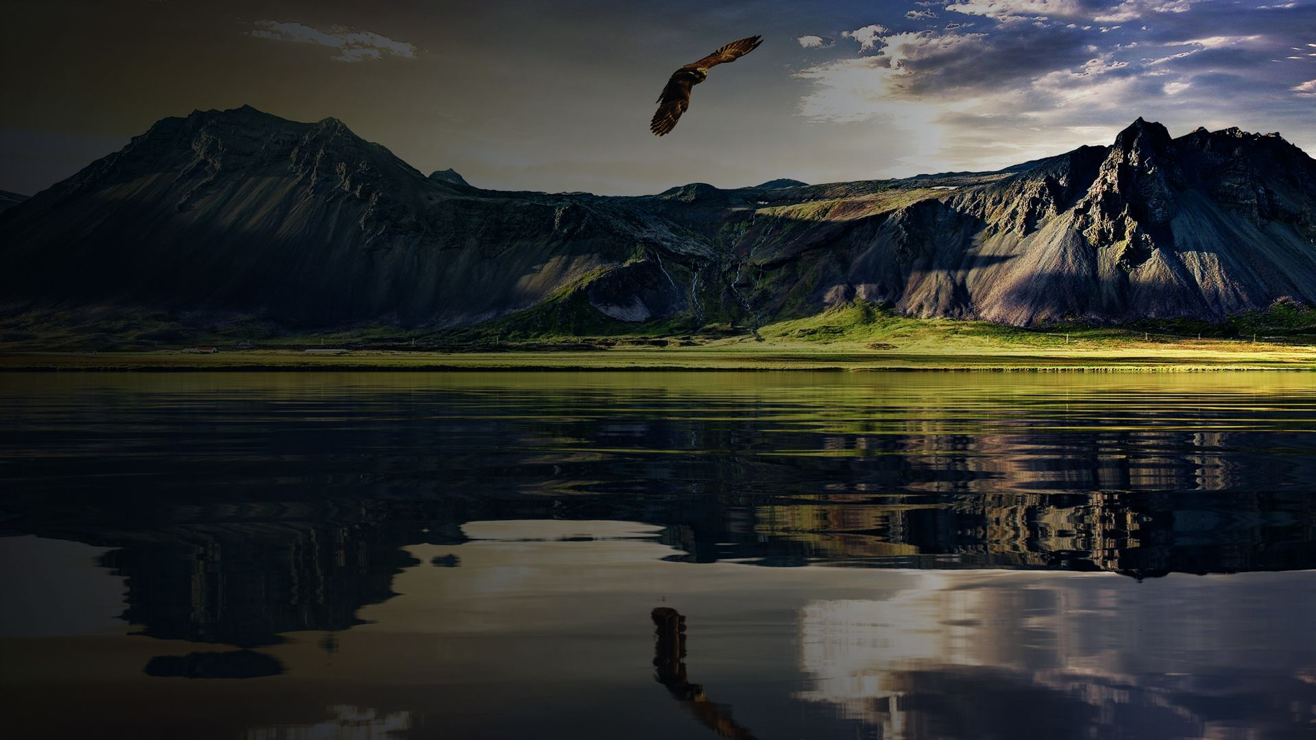 Wild About New Zealand