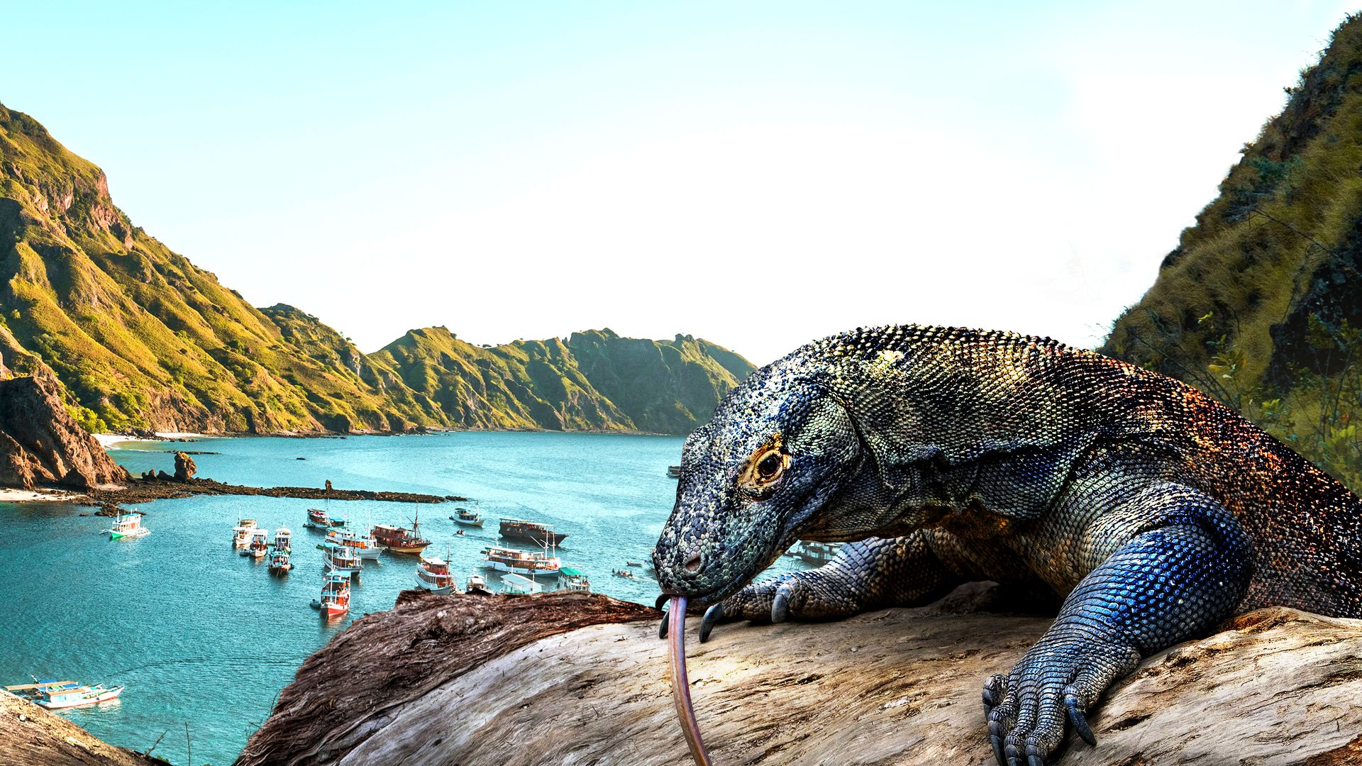 Waterworld of Komodo