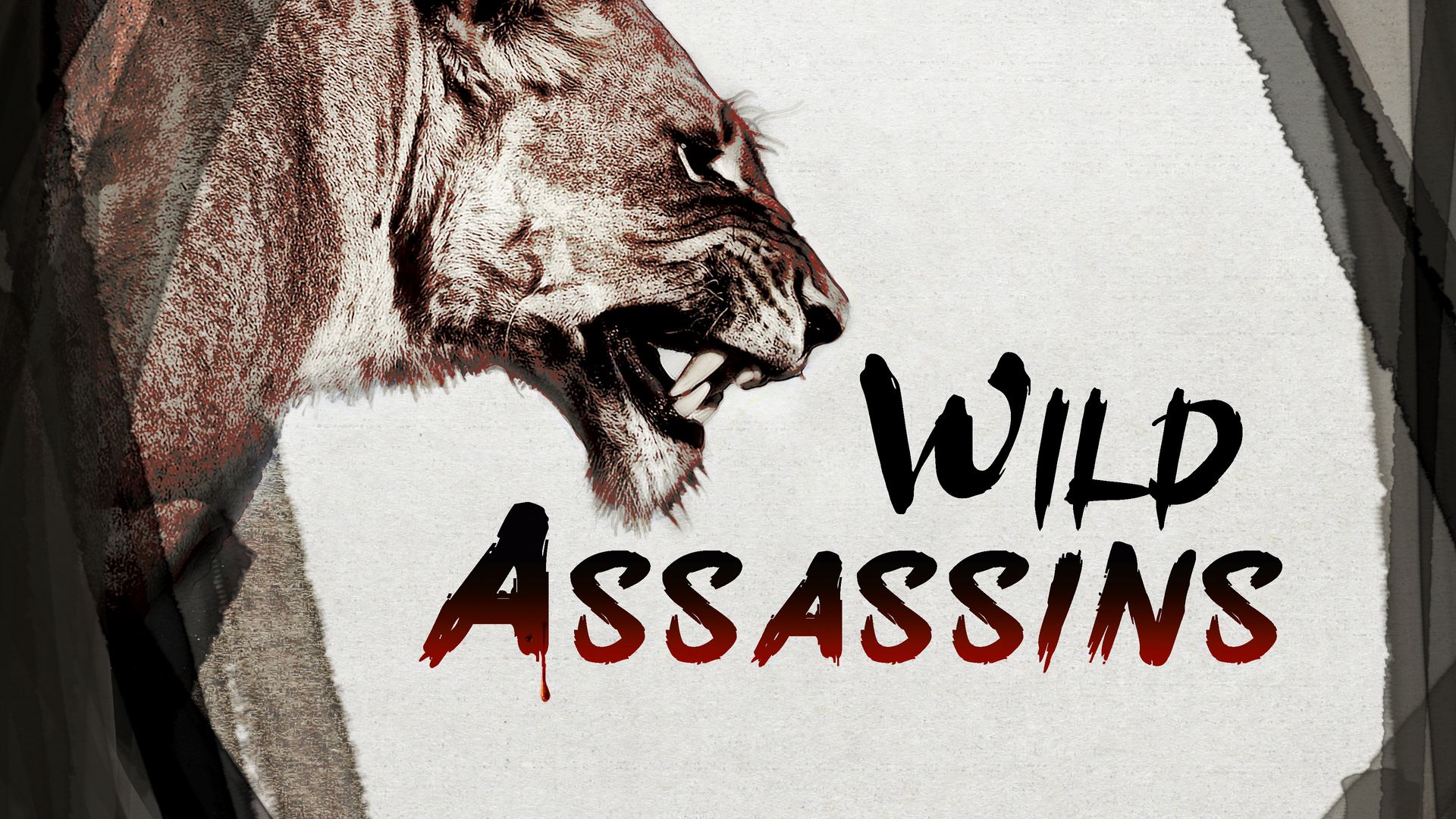 Wild Assassins