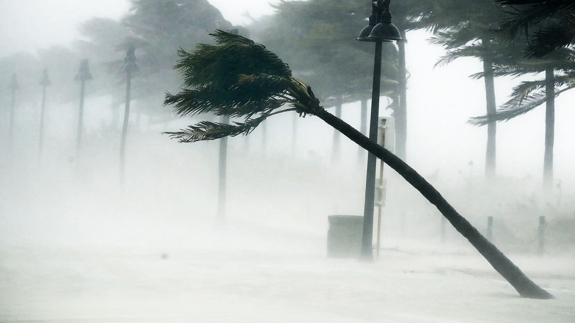 The Weather Files: Total Impact