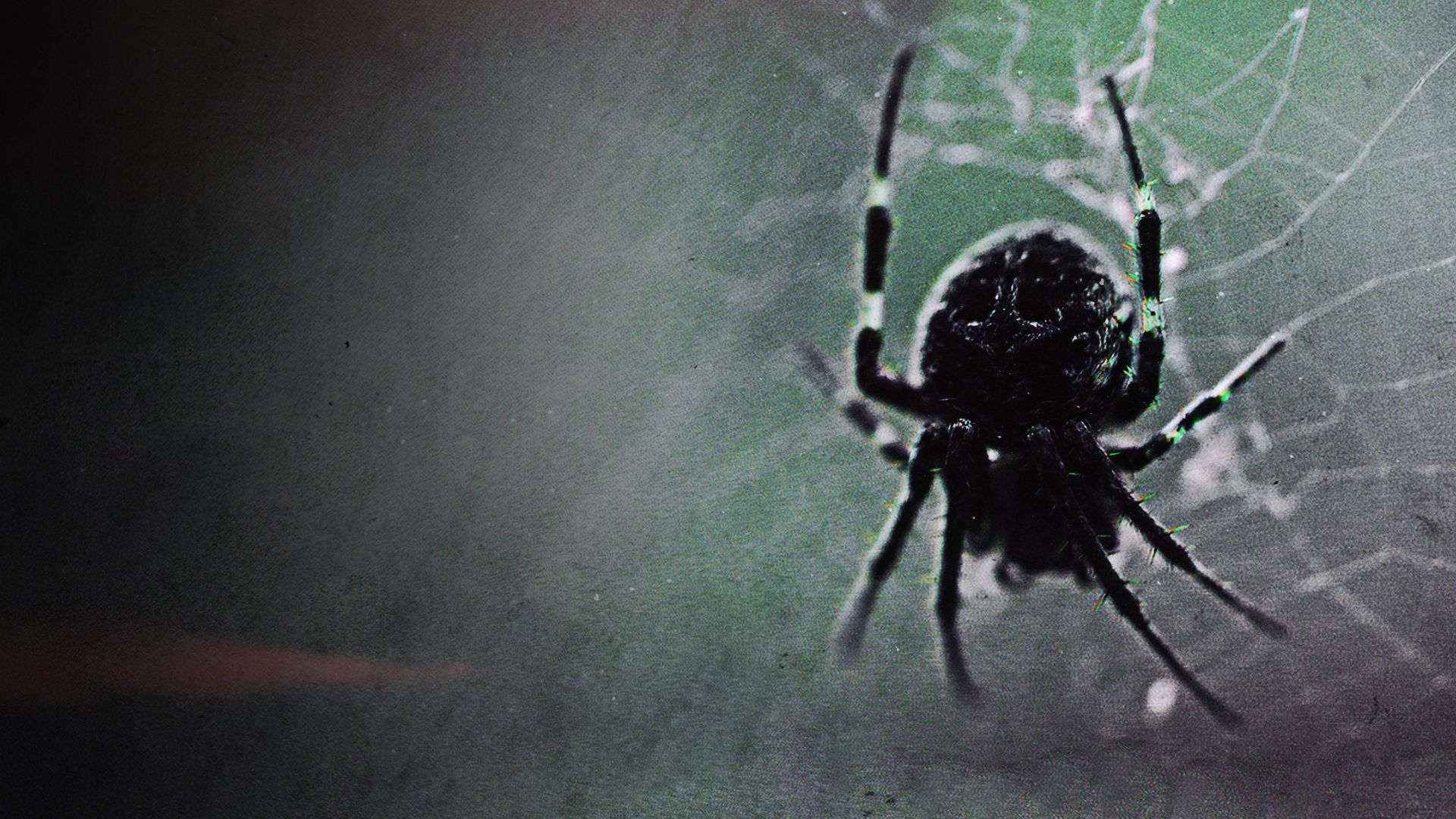 Infestation: The Fight Against Invasive Species