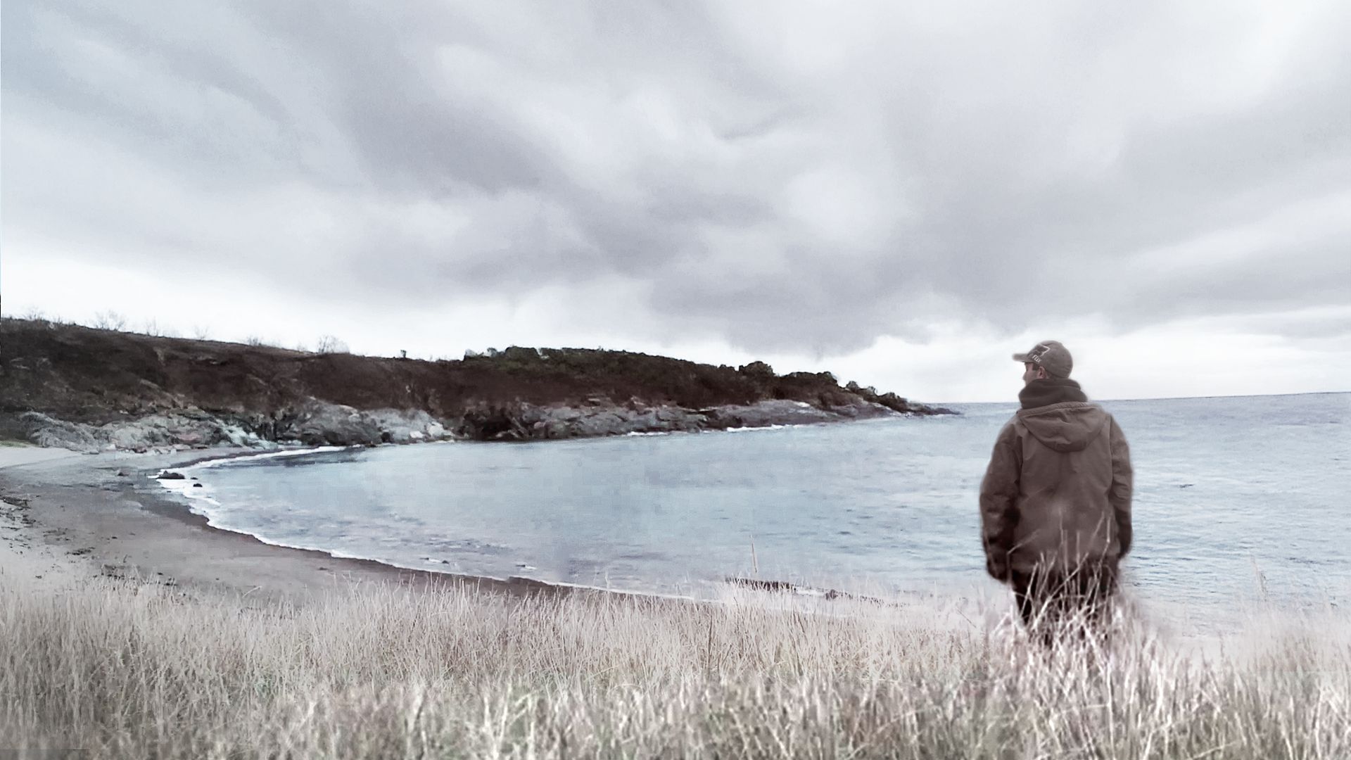 Murder in the Cove