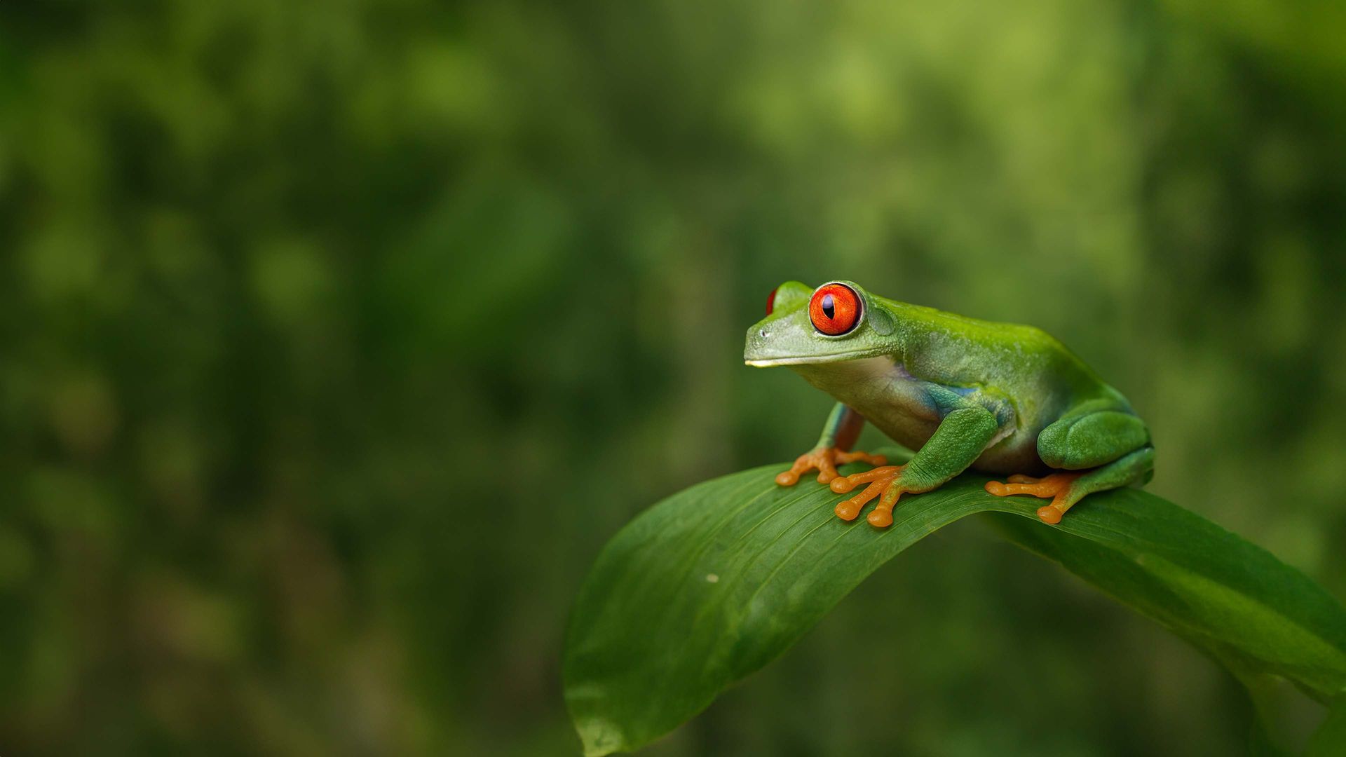 Extraordinary Ecosystems