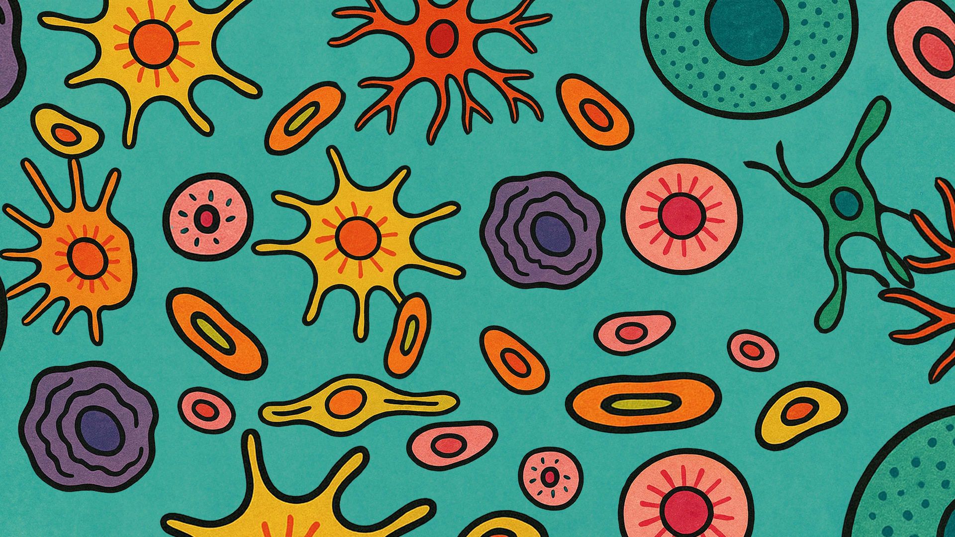 The Truth About Stem Cells