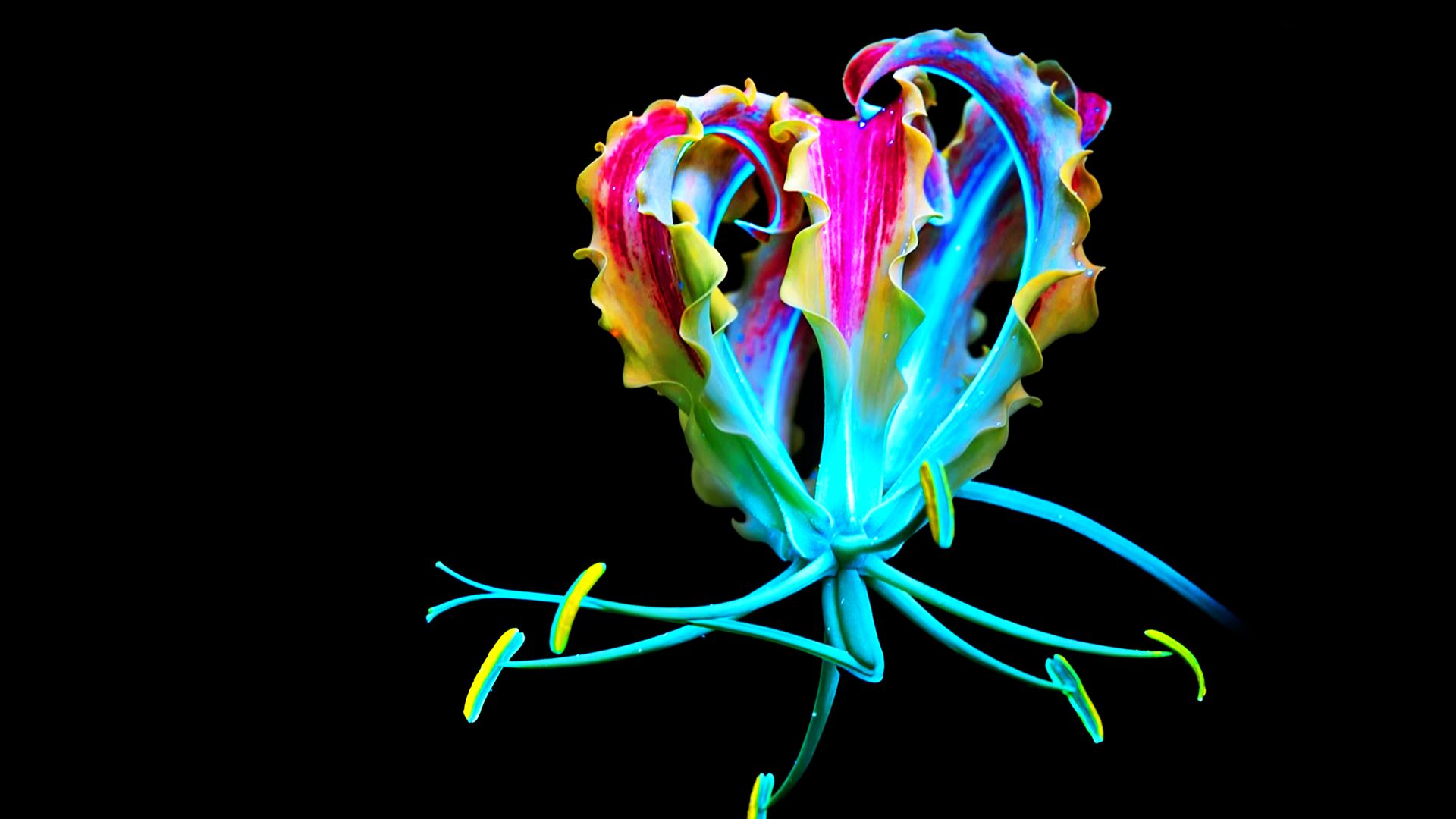 Fluorescence: Nature's Superpower