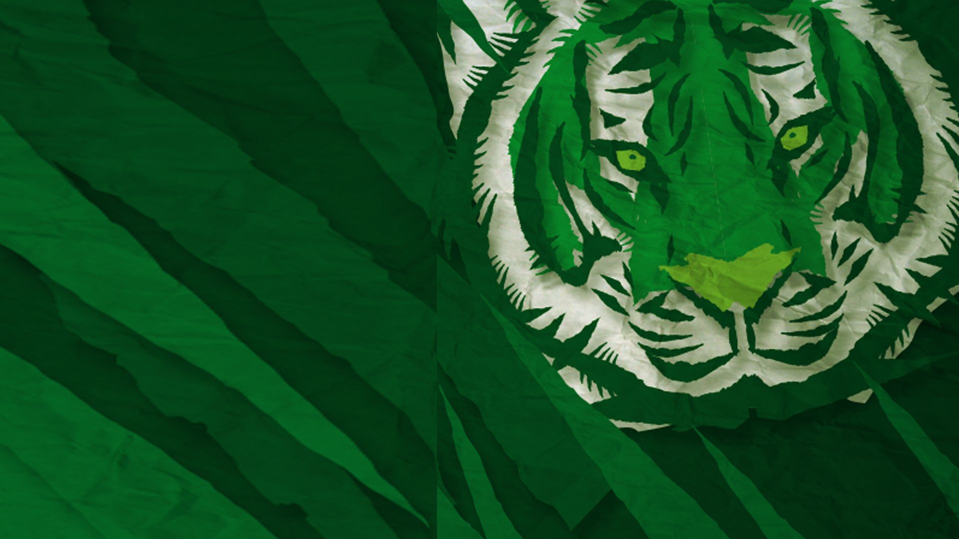 Waking the Green Tiger: A Green Movement Rises