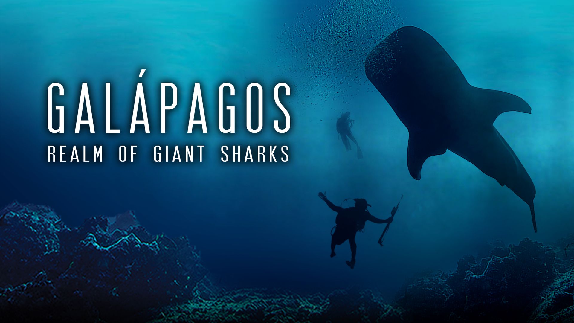 Galapagos Realm of Giant Sharks