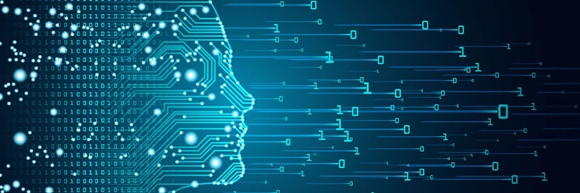 Does Our Pursuit of AI Create Bad Advice&#44; Fake Intelligence&#44; and Unintentional Bias&#63;