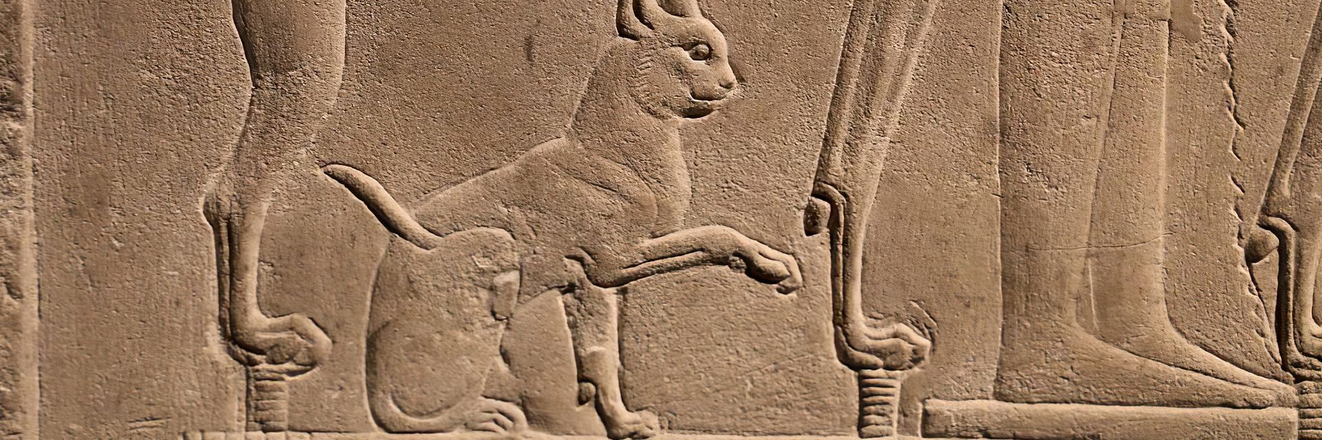 Why Did Ancient Egyptians Worship Cats&#63;