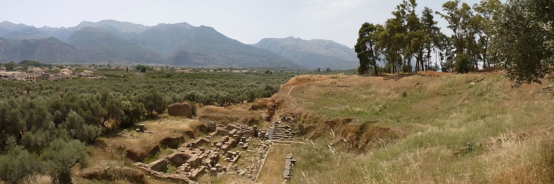 Ancient Sparta&#58; Warrior Culture to the Max&#33;