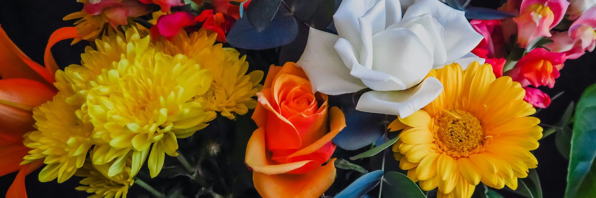 The Best Flowers for Mother&#8217;s Day&#58; Celebrating Love and Appreciation