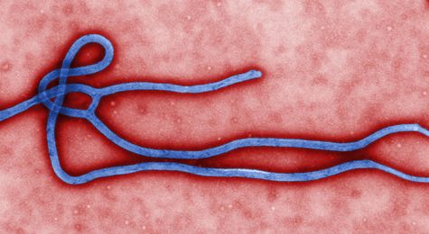 Successes and Shortfalls&#58; Have We Forgotten Lessons Learned in the Fight Against Ebola&#63;