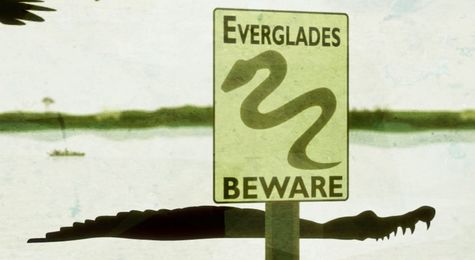 Snakes in the Everglades&#33; Pythons Threaten Florida&#39;s Ecosystem