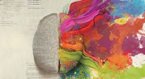 LSD&#44; Psilocybin&#44; Ketamine&#44; and DMT&#58; How These Psychedelics Affect the Brain