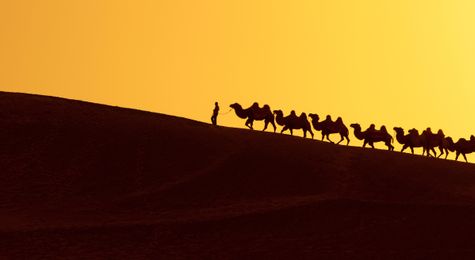 7 Fun Facts about the Fabled Silk Road