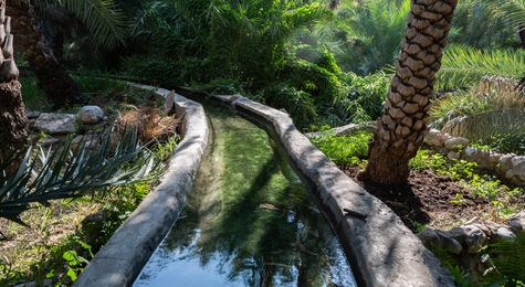 Ingenious Agriculture and Irrigation in the Ancient Middle East