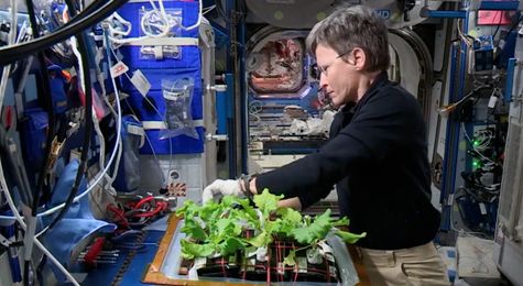 Beyond Tang&#58; The Evolution of Space Food