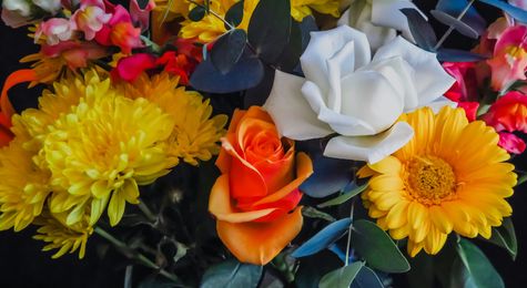 The Best Flowers for Mother&#8217;s Day&#58; Celebrating Love and Appreciation