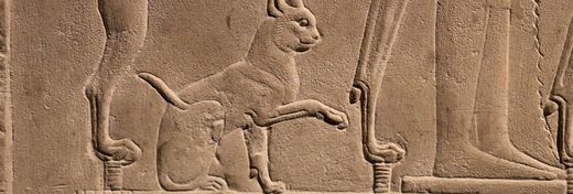 Why Did Ancient Egyptians Worship Cats?