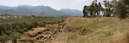 Ancient Sparta: Warrior Culture to the Max!