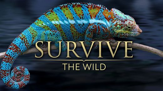 Survive the Wild