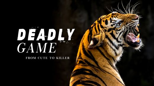 Deadly Game