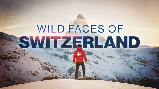 Wild Faces of Switzerland