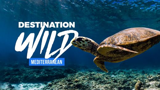 Destination Wild: Mediterranean