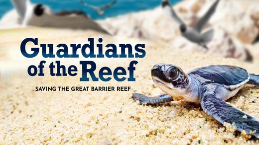 Guardians of the Reef