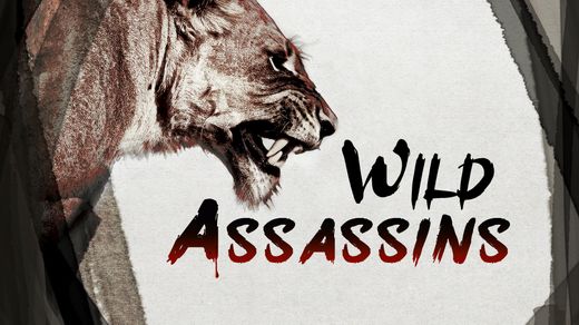 Wild Assassins