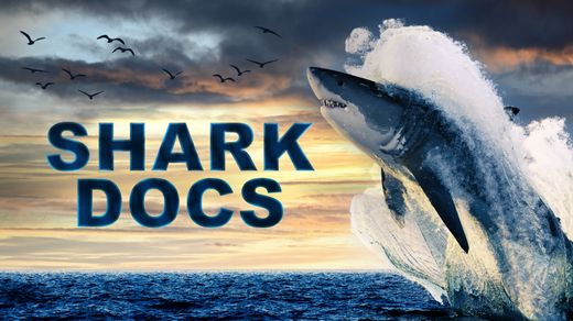 Shark Docs