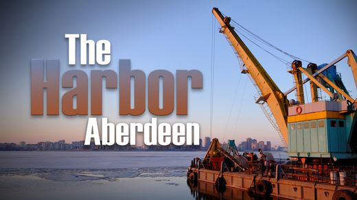 The Harbor