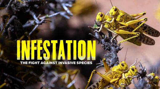 Infestation: The Fight Against Invasive Species
