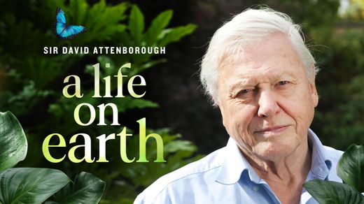David Attenborough: A Life on Earth