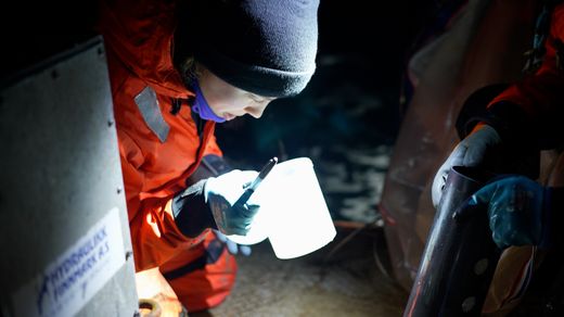 Life in the Dark: The Polar Night